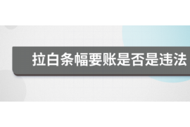 鹿泉为什么选择专业追讨公司来处理您的债务纠纷？